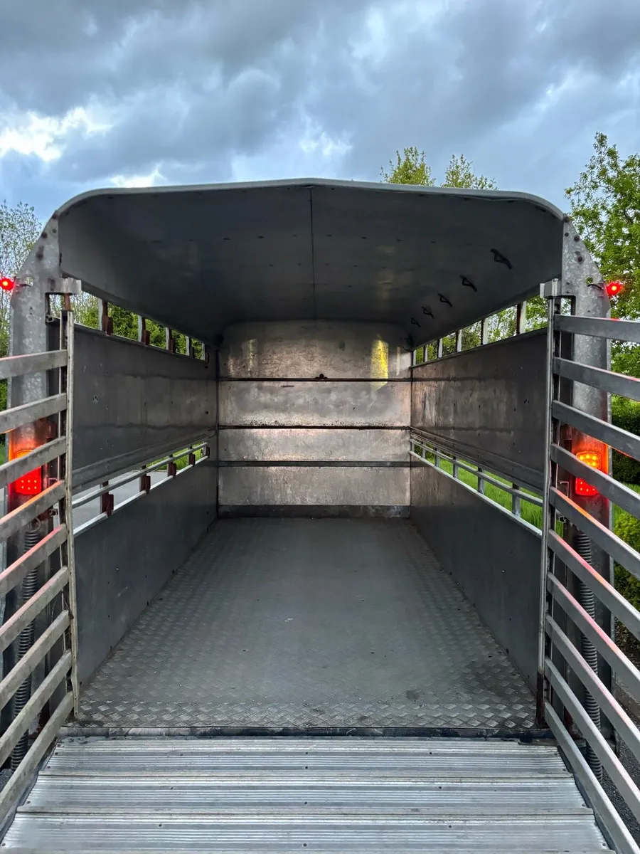 12x6 Ifor Williams cattle box - Image 4