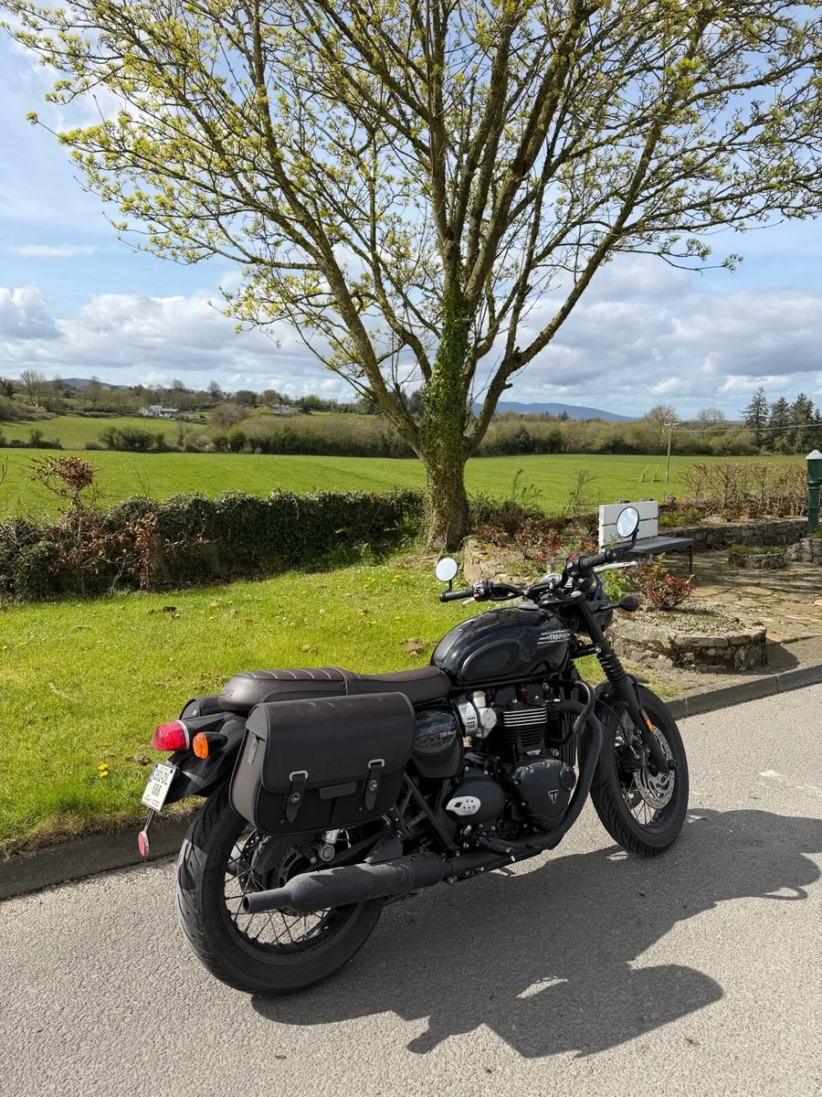 Triumph Bonneville T120 Black - Image 3