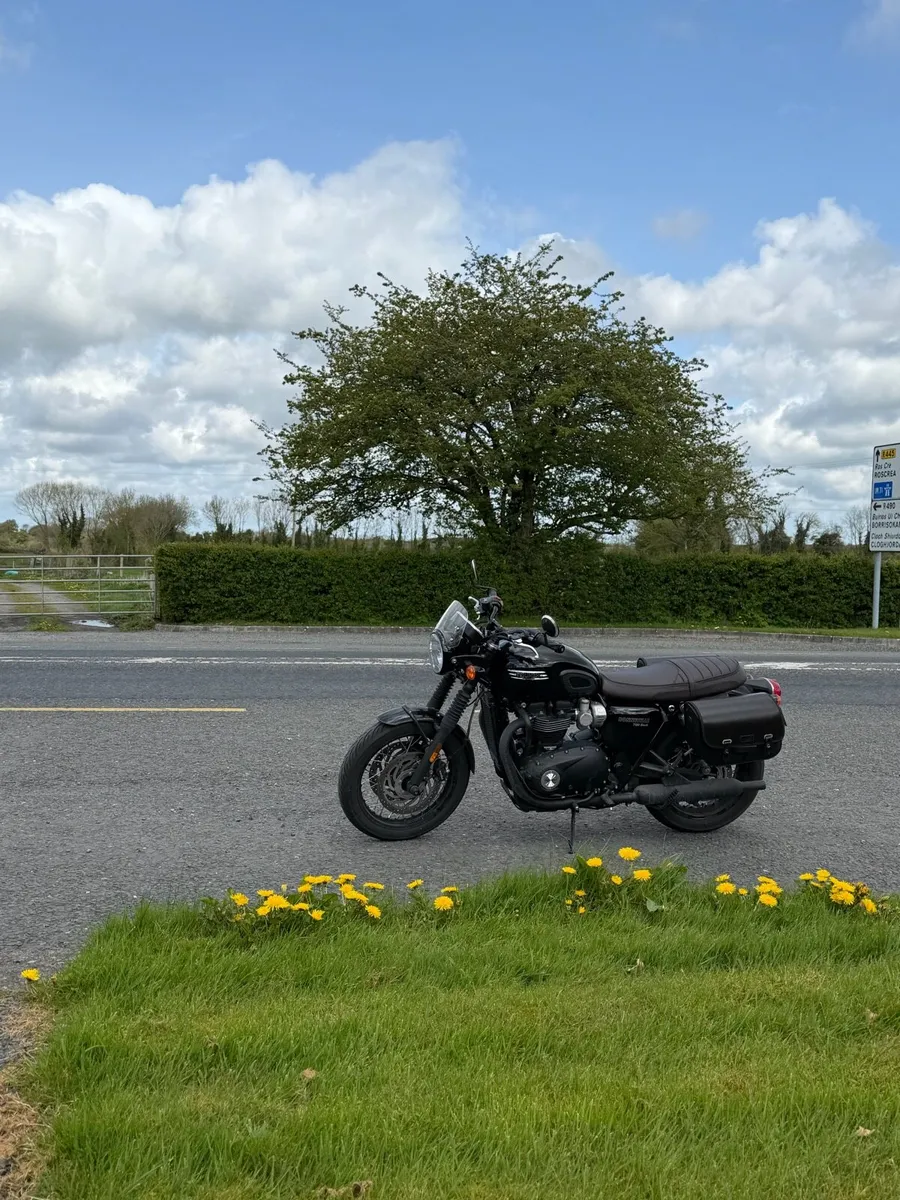 Triumph Bonneville T120 Black - Image 4