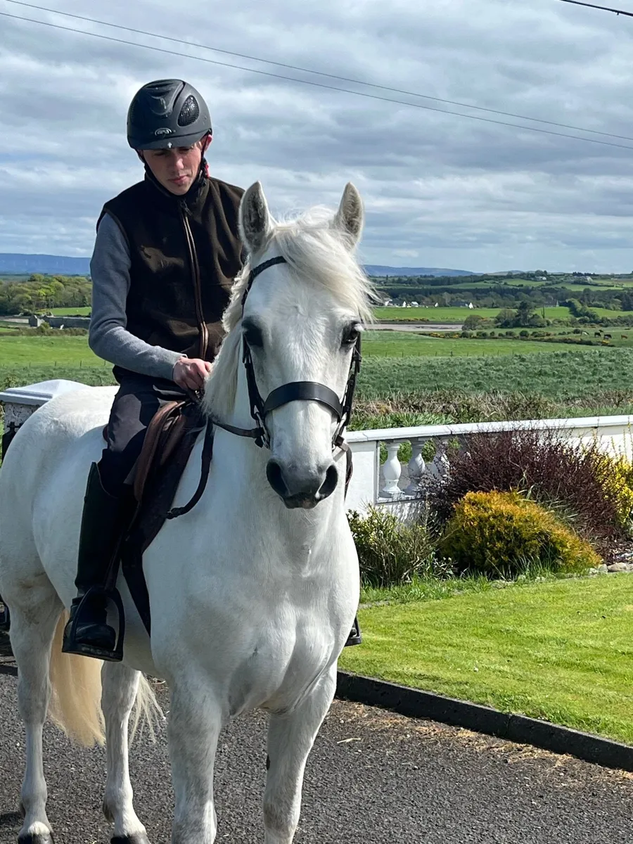 Lot 157 Clifden sales - Image 3