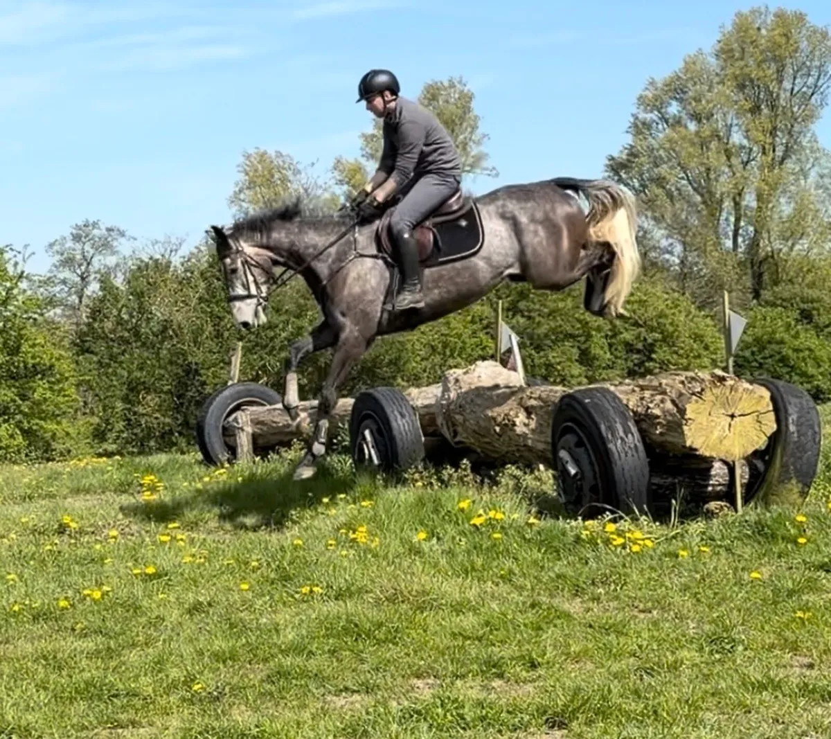 4 yo LIVELLO SJ/EV - Image 1