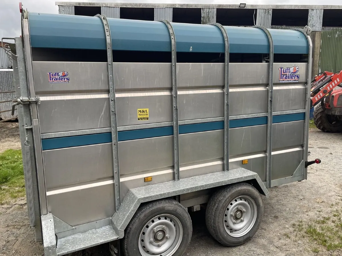 Tuffmac 10x6 Cattle Trailer - Image 2