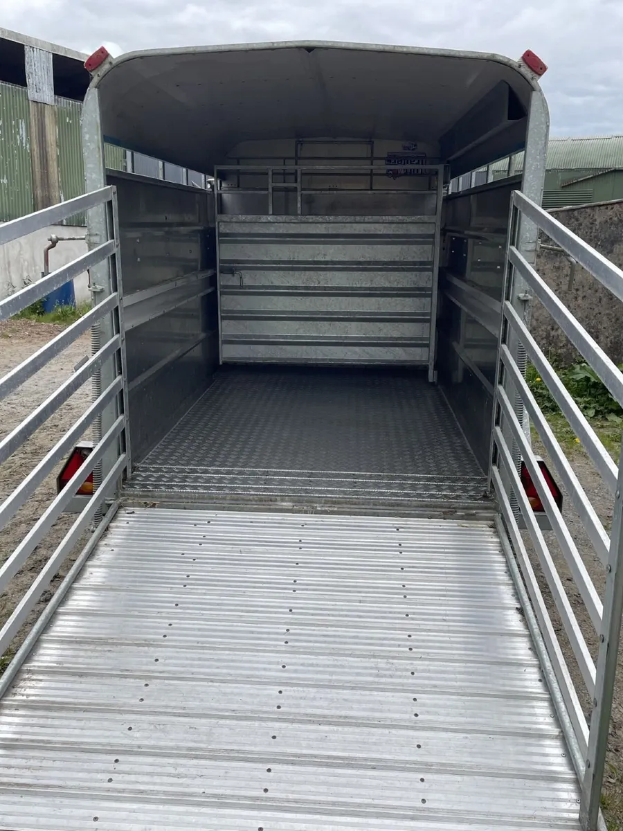 Tuffmac 10x6 Cattle Trailer - Image 4