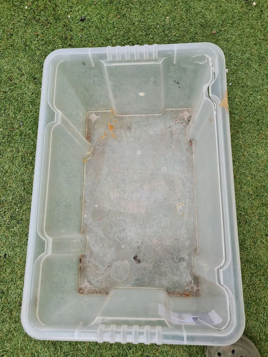 Collection of 4 x  large plastic storage boxes - Image 4