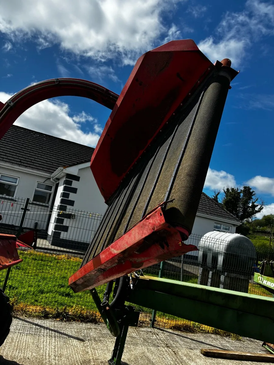Tarrup - Image 3