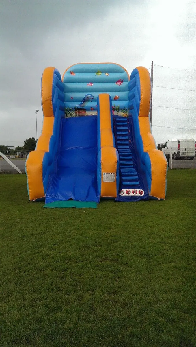 Bouncy Castle business - Image 1