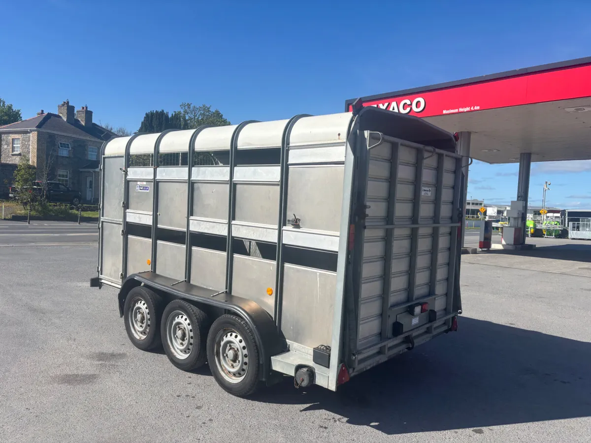 ifor williams ta510 12ft tri axle - Image 3