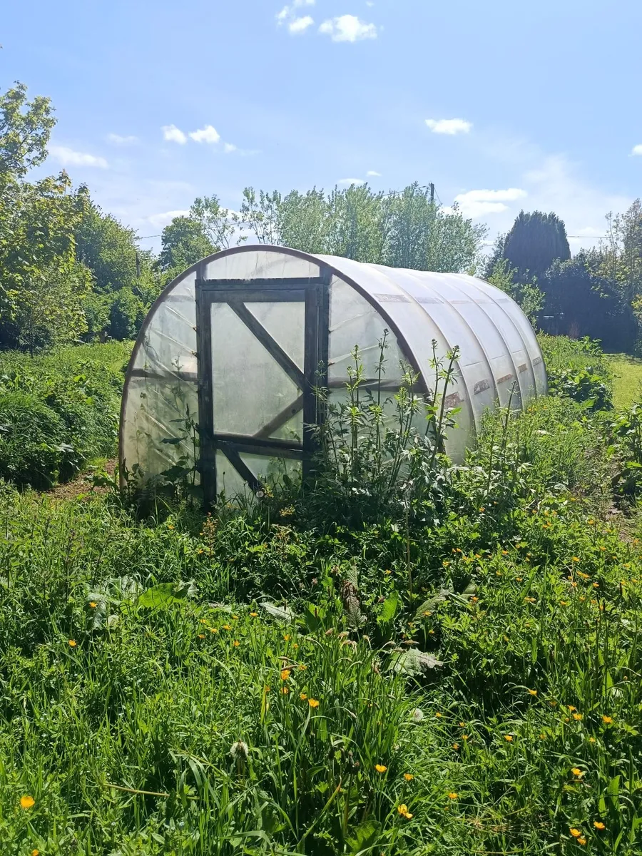 Green house - Image 1
