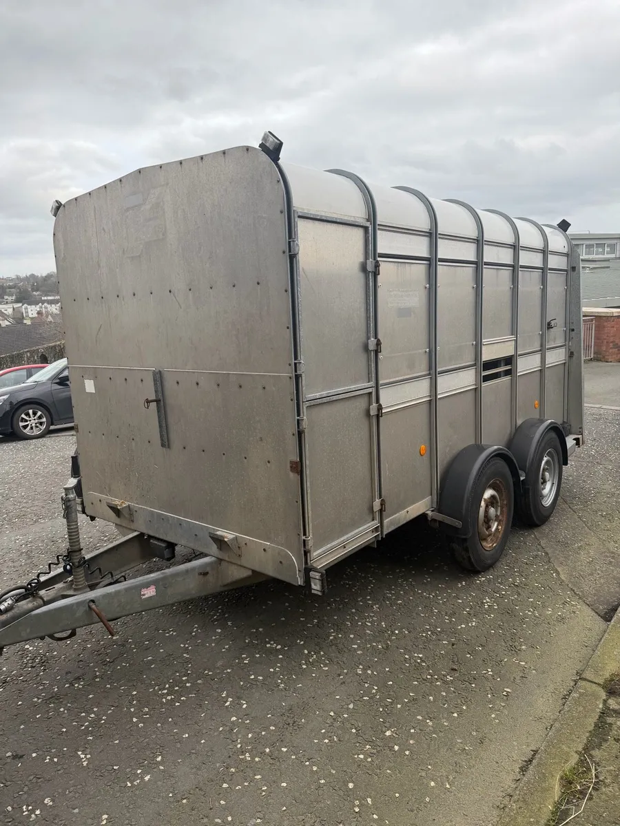 Ifor Williams cattle box - Image 3