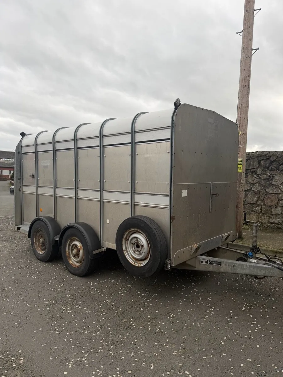 Ifor Williams cattle box - Image 4