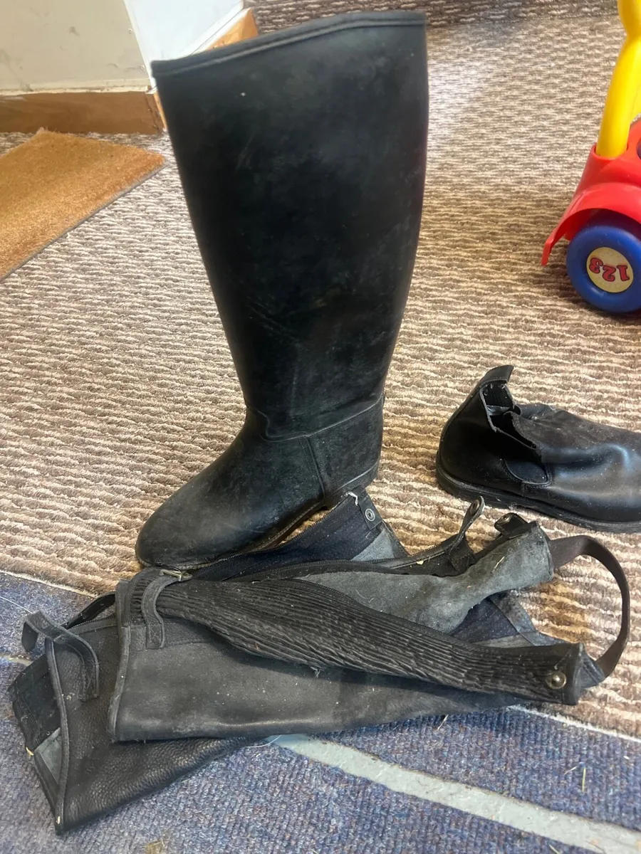 Horse riding gear boots and chaps - Image 1