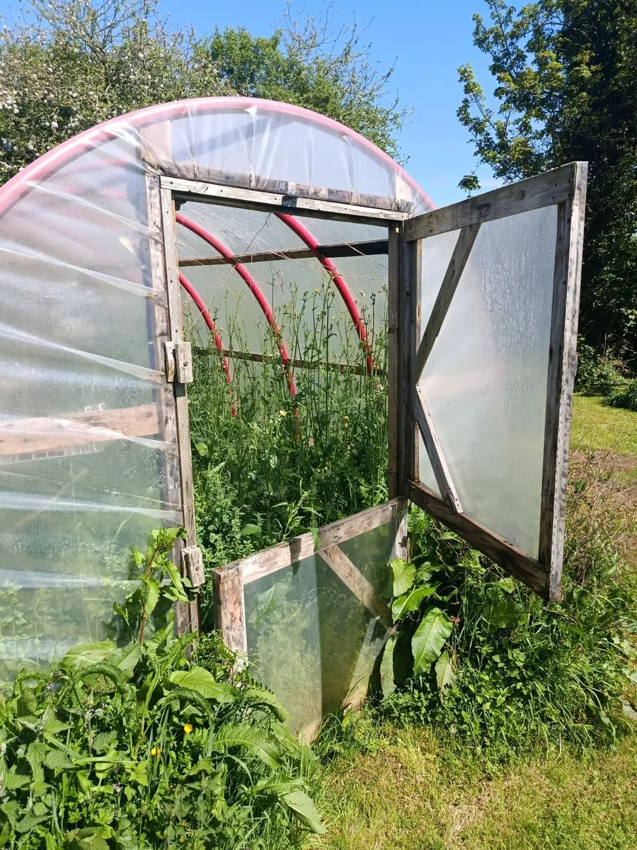 Green house - Image 2