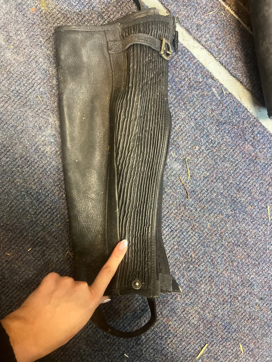 Horse riding gear boots and chaps - Image 3