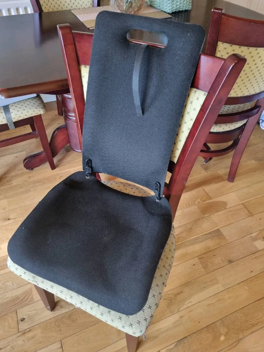 Back Support -Back Friend