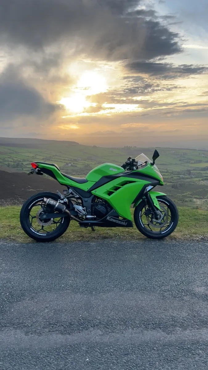 Kawasaki ninja 300 Abs - Image 3