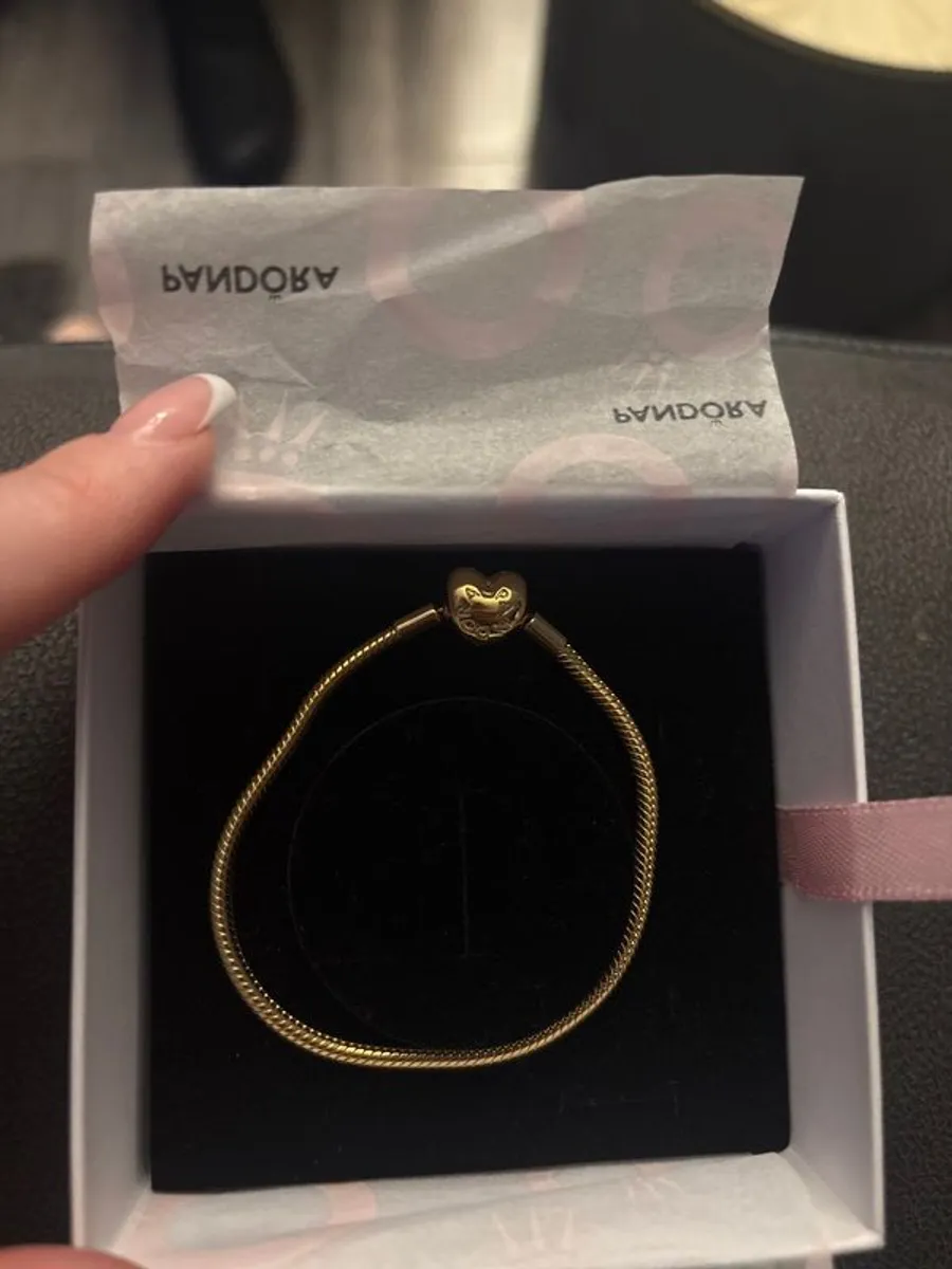 Brand new Pandora bracelet with charms - Image 1