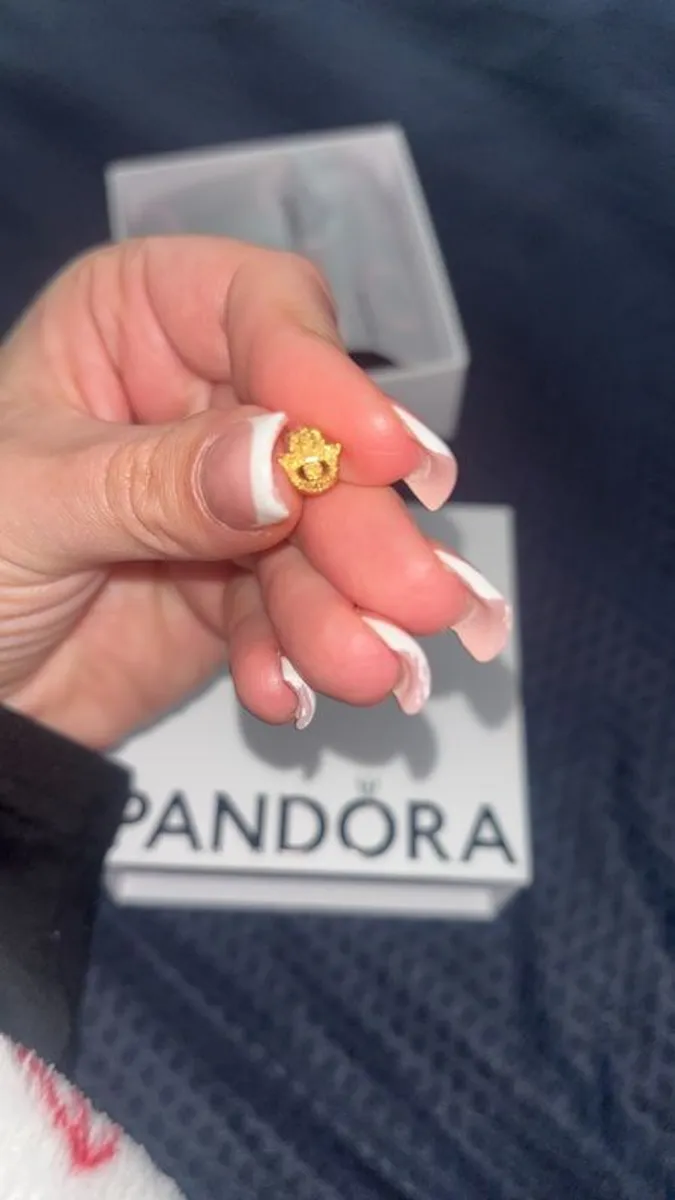 Brand new Pandora bracelet with charms - Image 3
