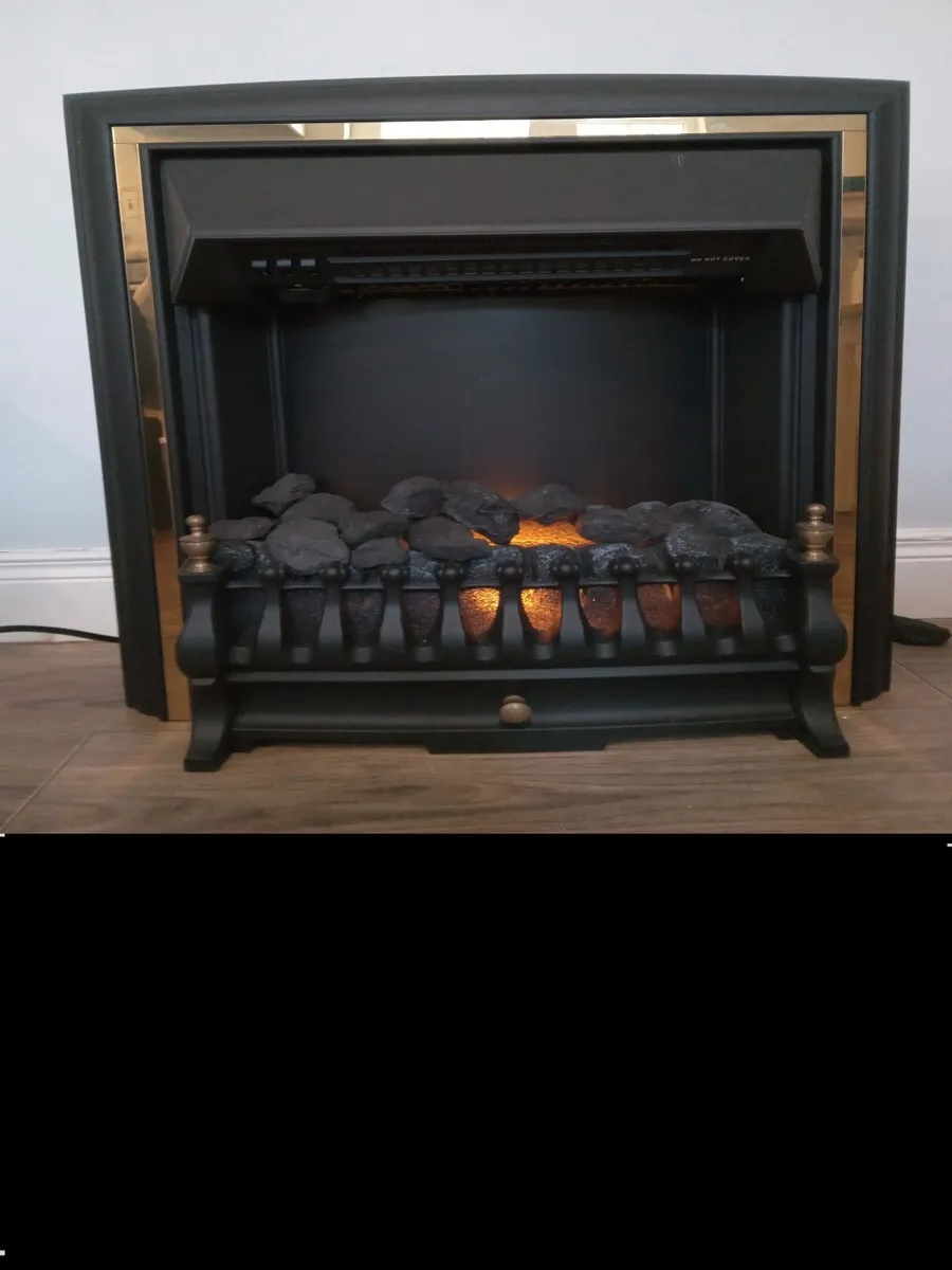 Electric fire