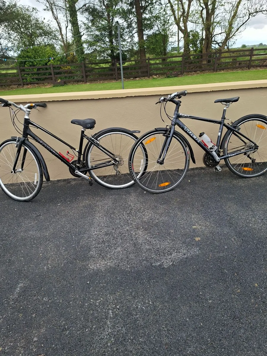 One gents trek and One ladies gant bike - Image 1