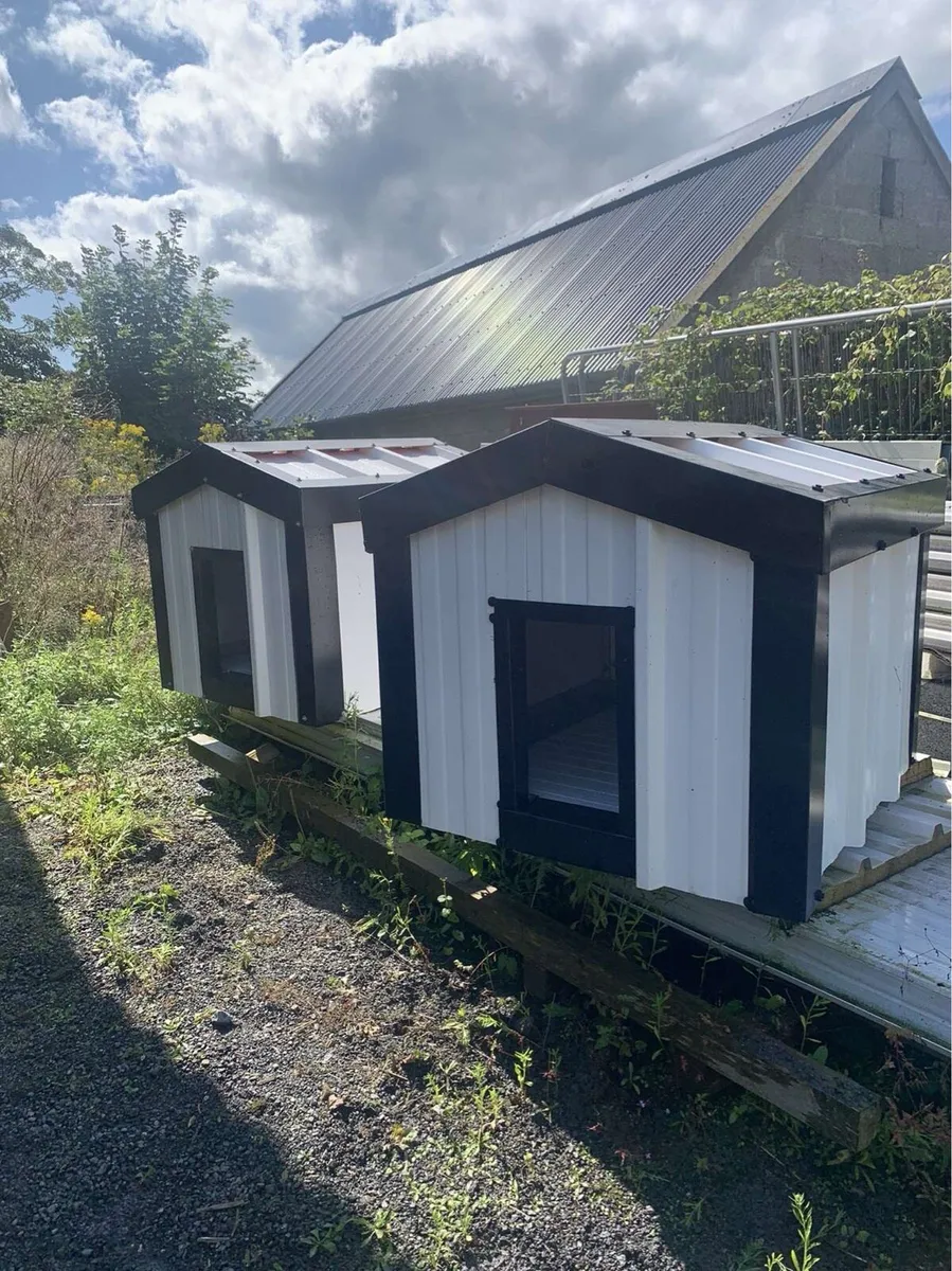 Insulated dog house - Image 2
