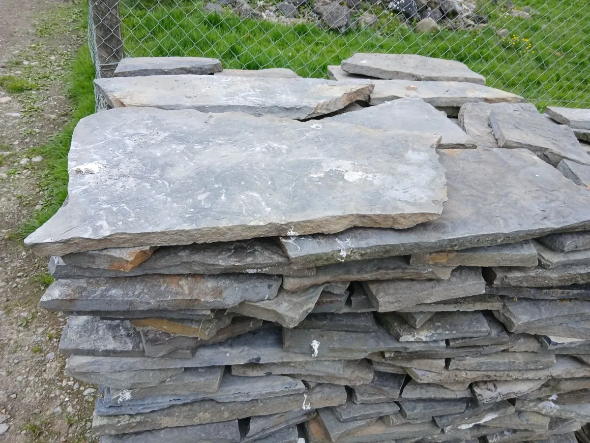 Liscannor stone paving and paving concrete slabs - Image 1