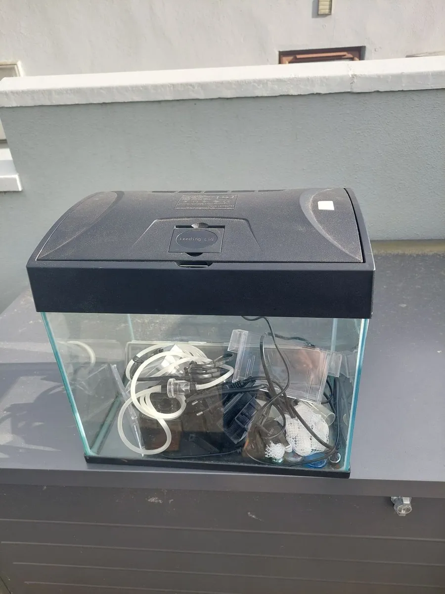 fish tank - Image 2