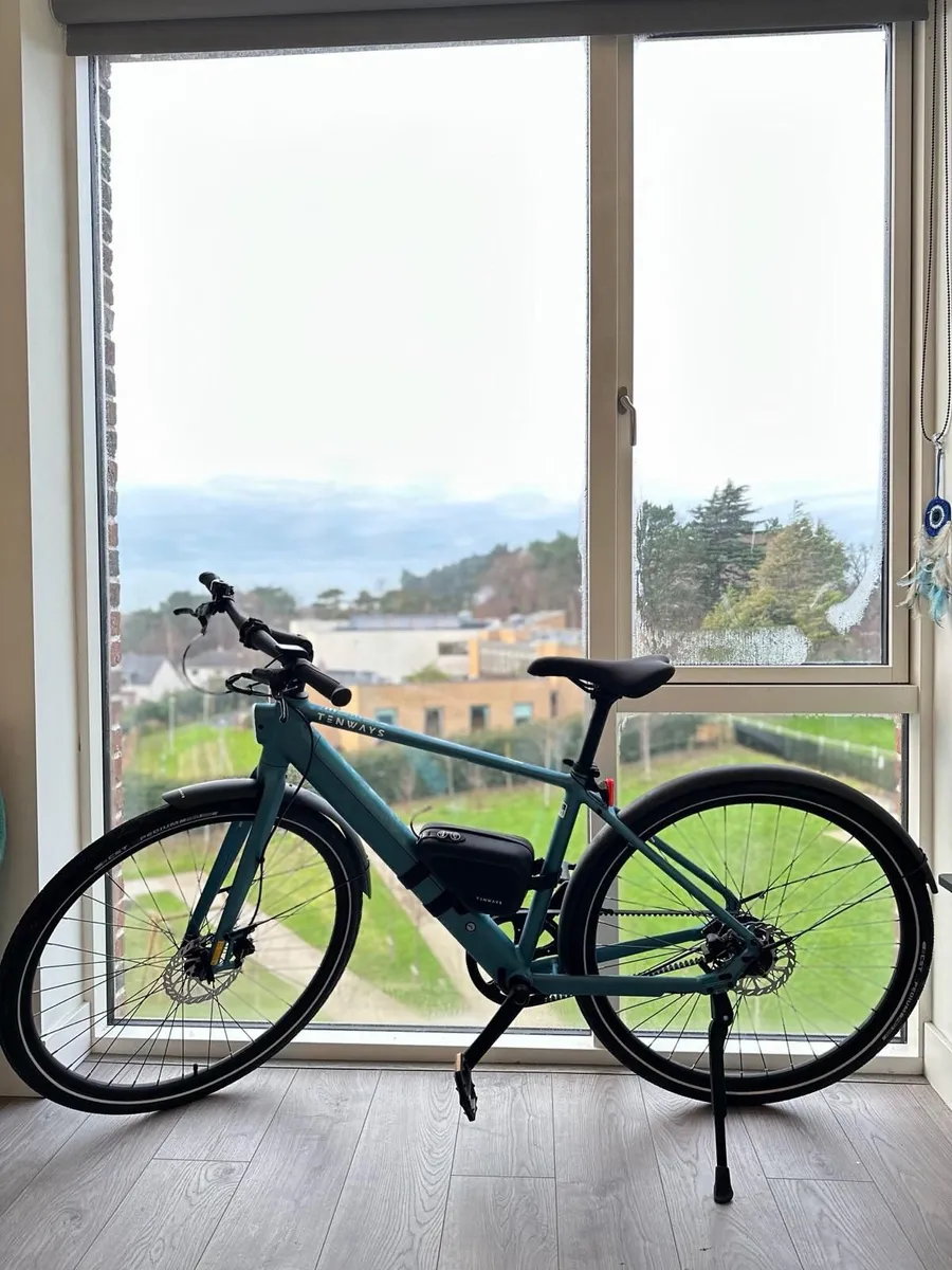 Tenways CGO600 Pro Electric Bike - Image 1