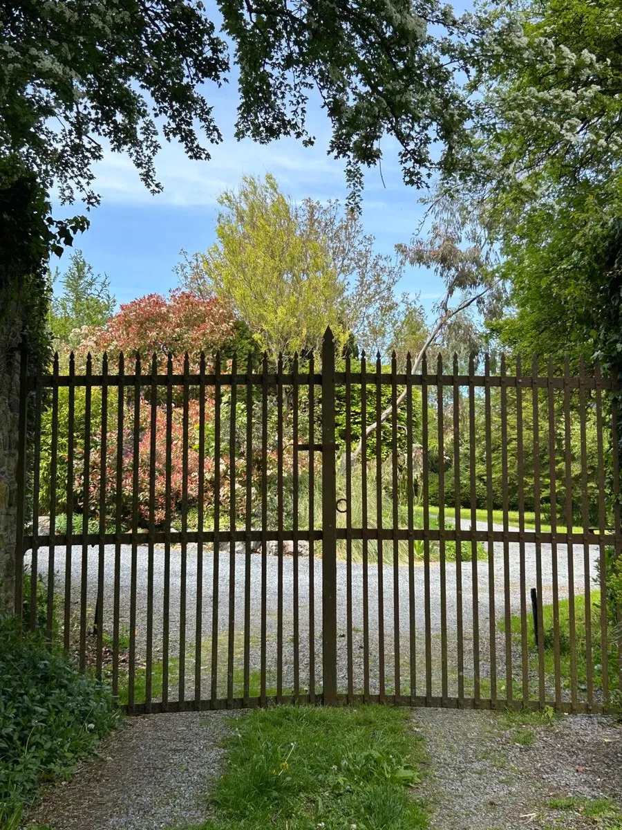 Wrought Iron gates 1890-1910 - Image 1