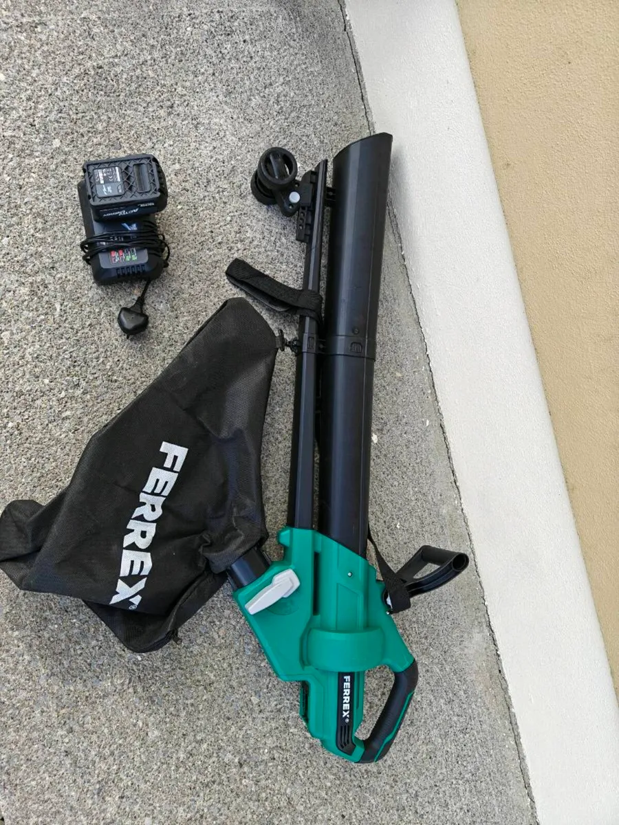 Leaf blower - Image 1