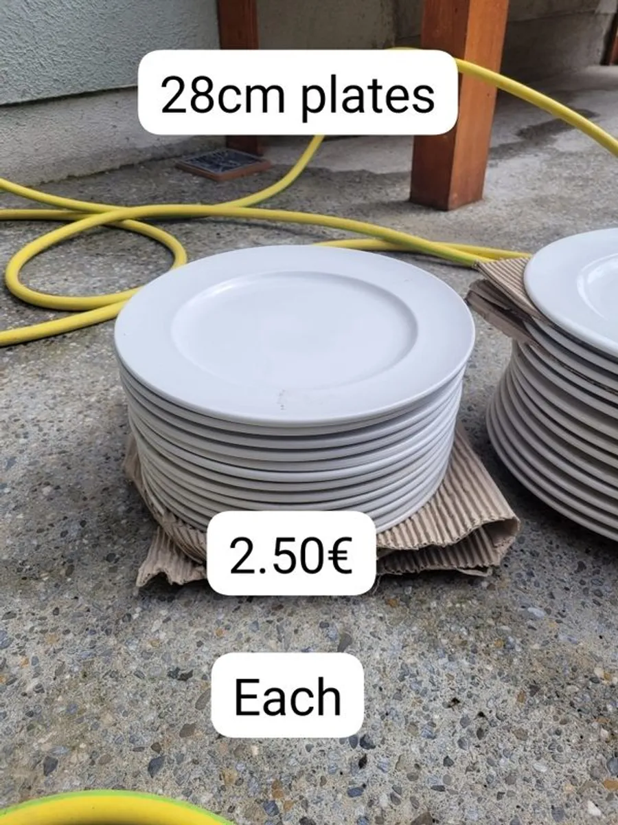 Simply winged plates. open to offers - Image 2