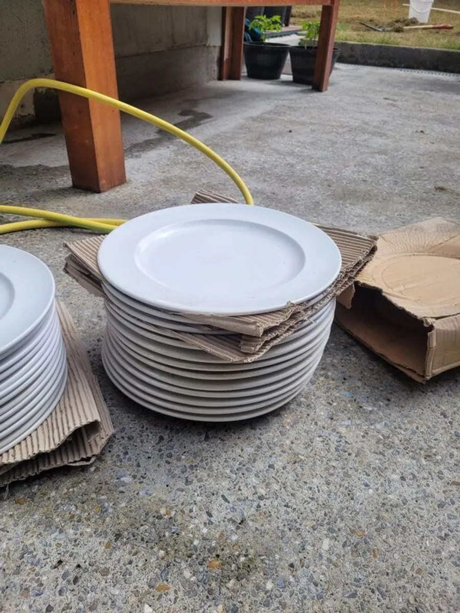 Simply winged plates. open to offers - Image 4