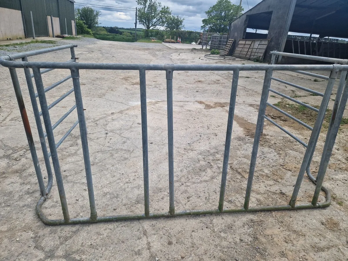 Calf creep feeder - Image 4