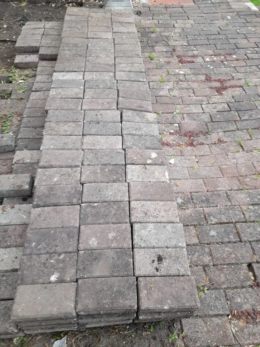 Paving Cobble Bricks - Only 1e Each - Image 2