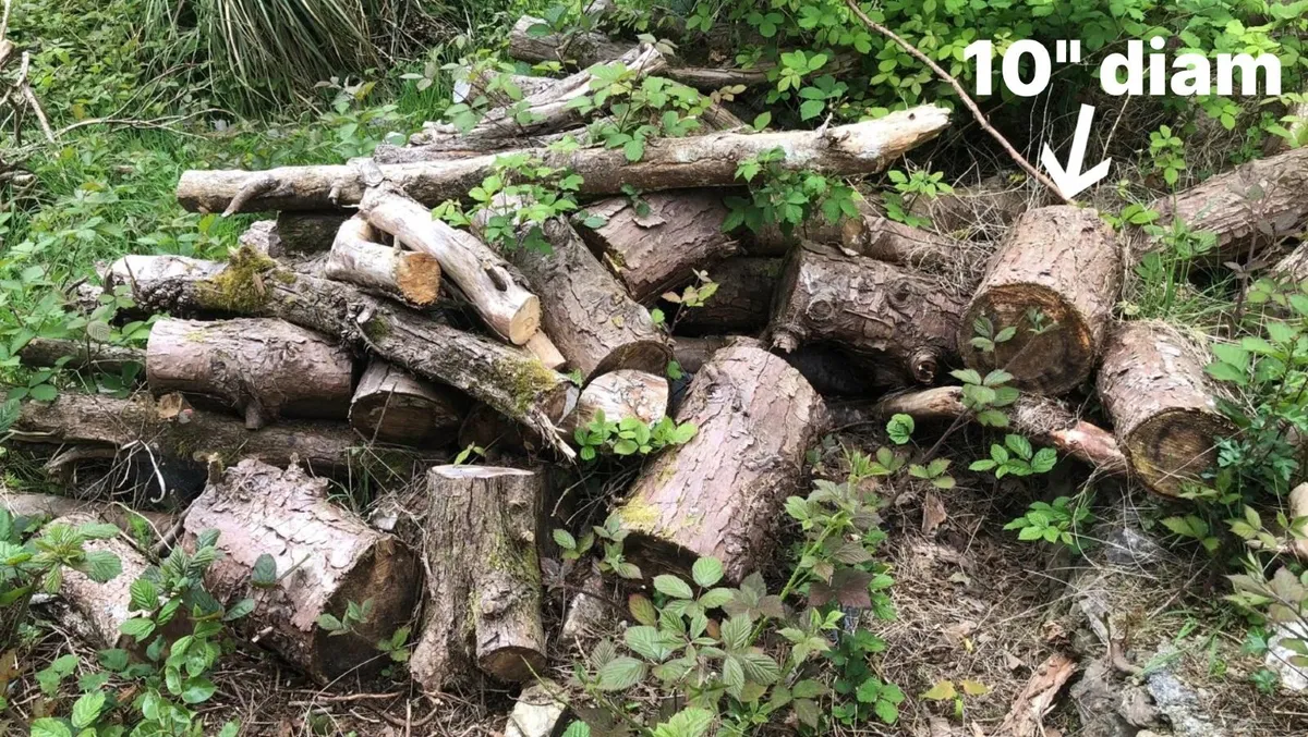 Fire wood - Image 2