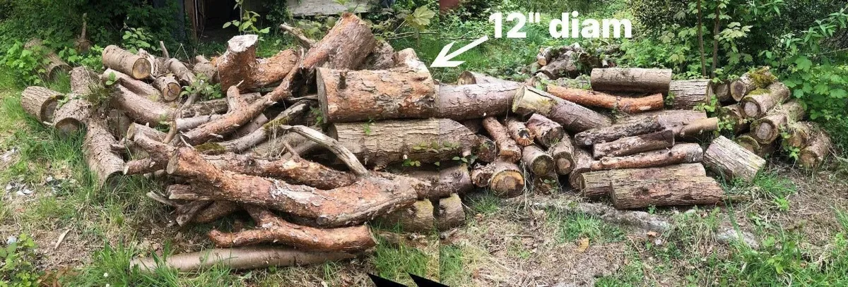 Fire wood - Image 1