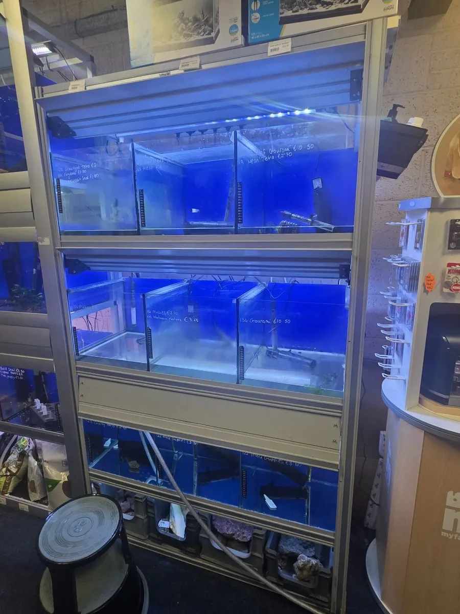 Retail fish unit