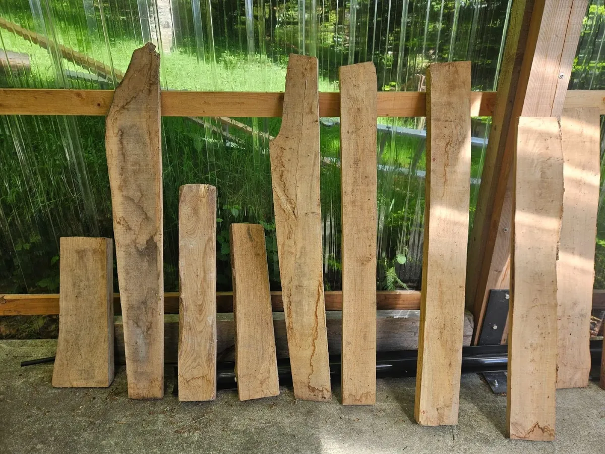 Elm timber lengths - Image 1