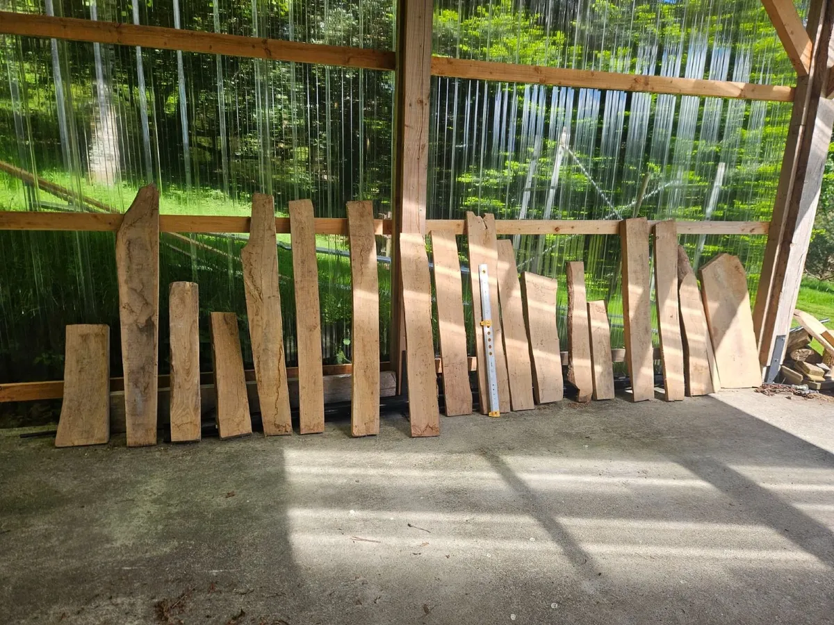 Elm timber lengths - Image 2