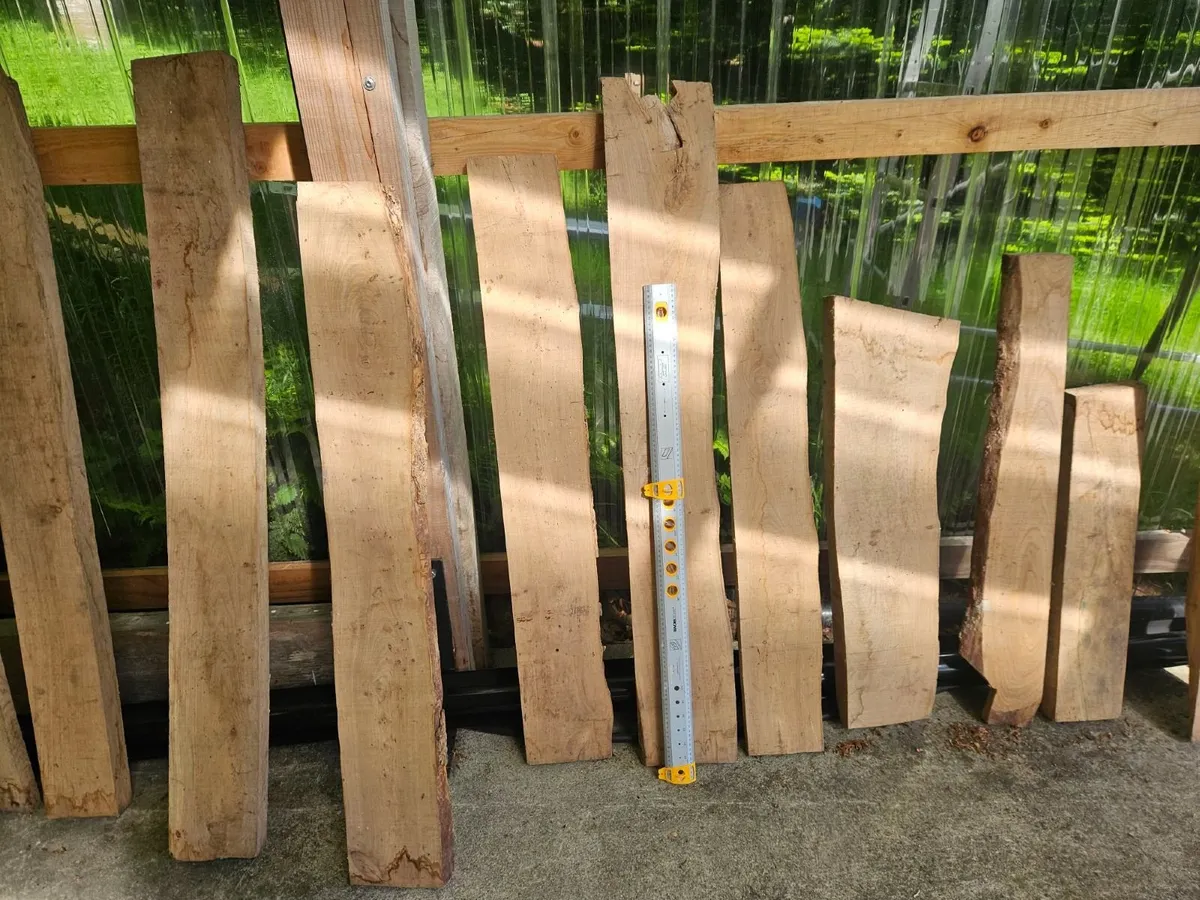 Elm timber lengths - Image 4