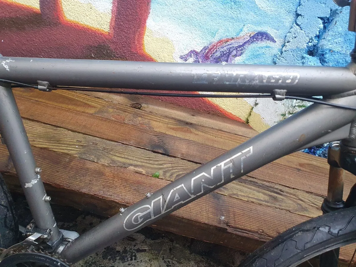 Giant Terrago aluminium frame mountain bike - Image 4