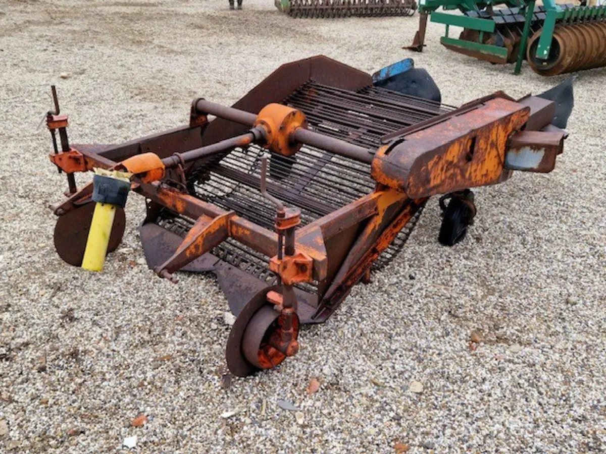 JOHNSTON 2 ROW TWIN WEB ELEBATOR POTATO DIGGER - Image 2