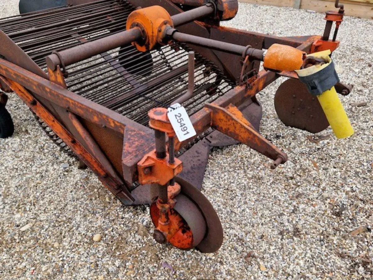JOHNSTON 2 ROW TWIN WEB ELEBATOR POTATO DIGGER - Image 4