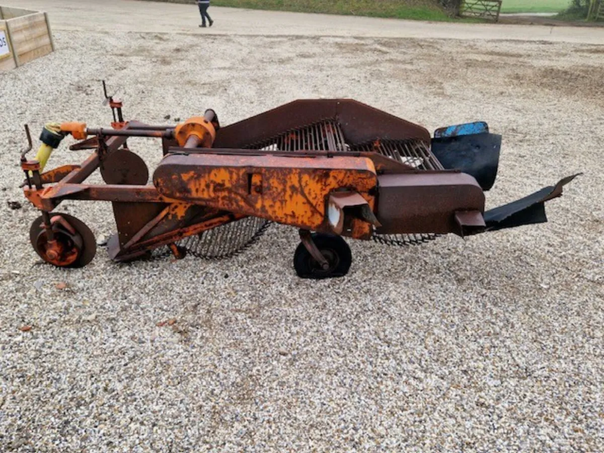 JOHNSTON 2 ROW TWIN WEB ELEBATOR POTATO DIGGER - Image 3