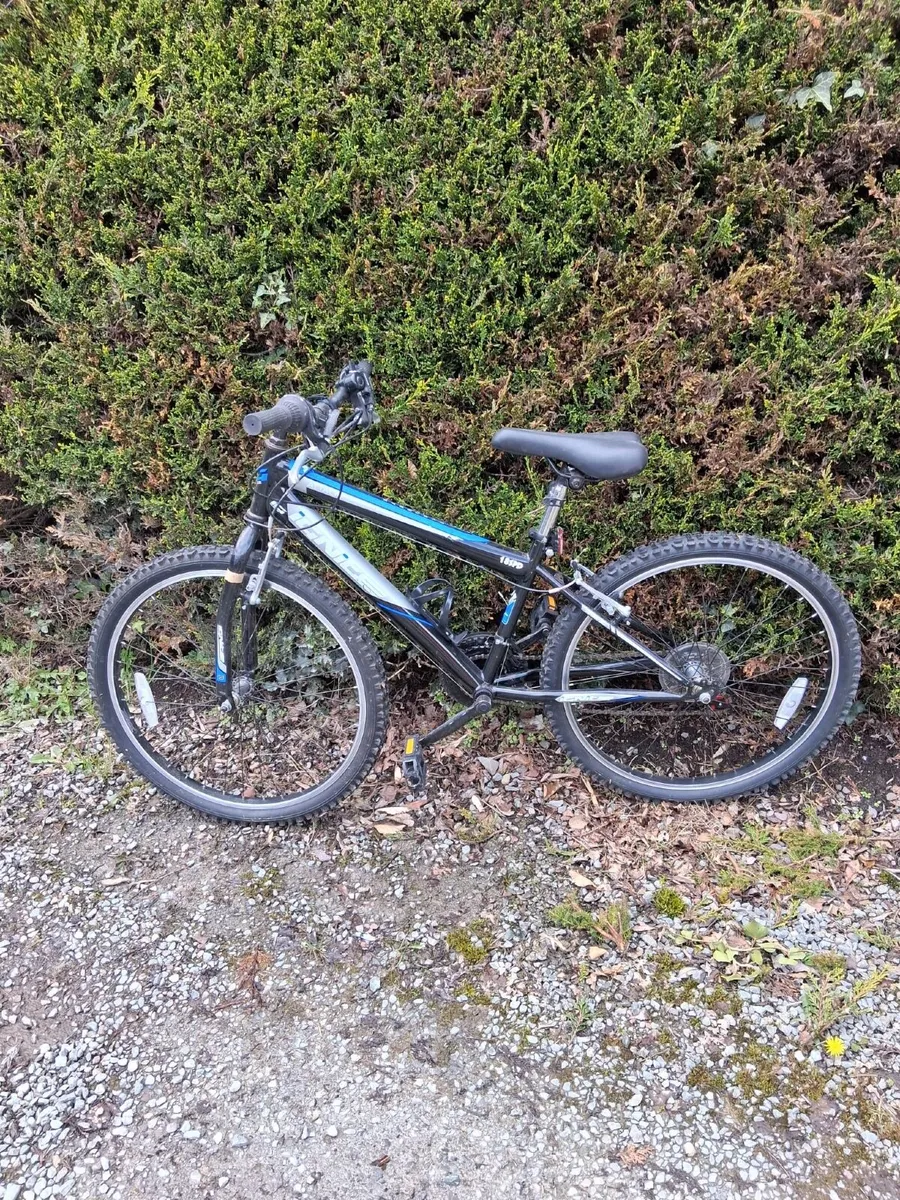 Teenager Bike