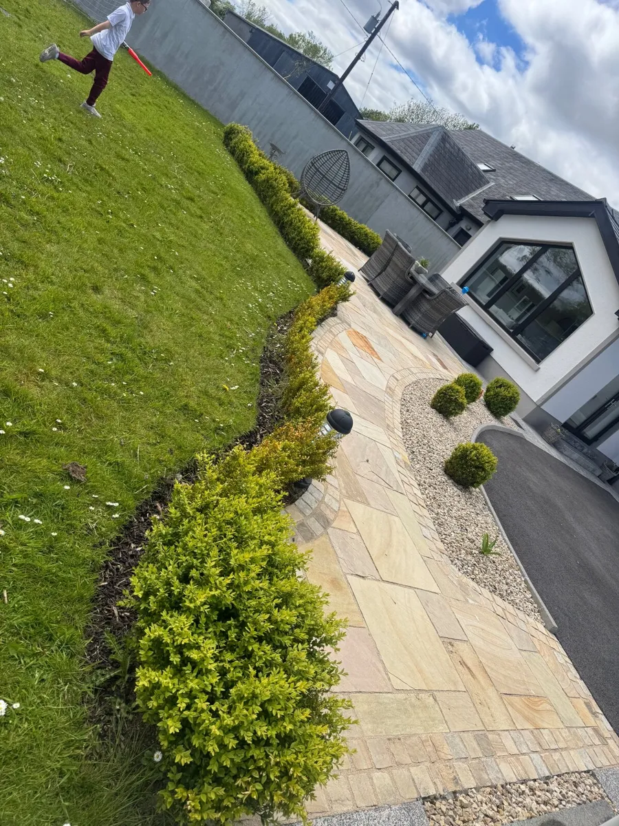 Hedging - Image 3