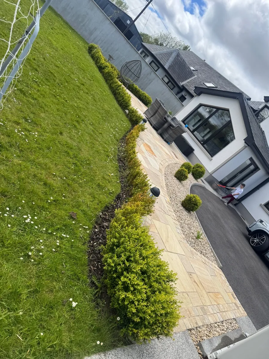 Hedging - Image 4