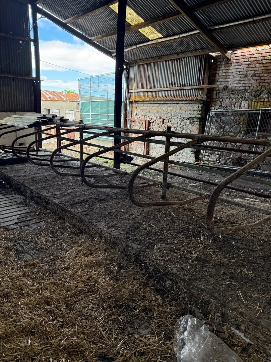Calf/Heifer Cubicles - Image 2