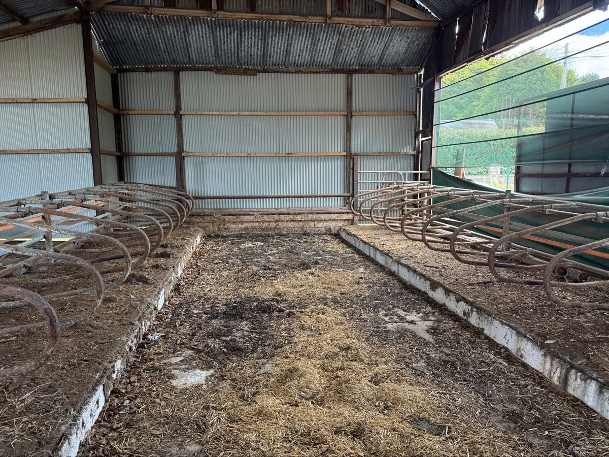 Calf/Heifer Cubicles - Image 1