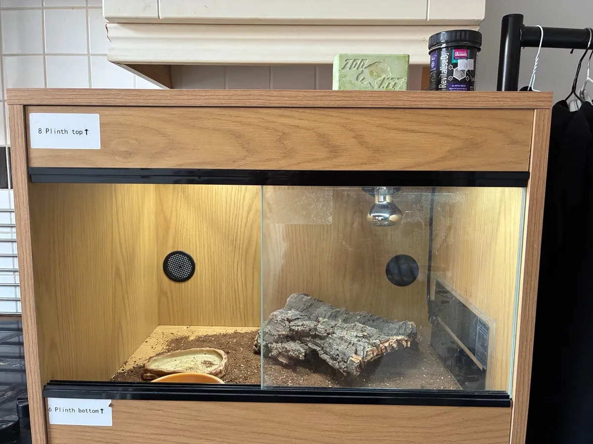 Tortoise Starter Kit - complete set up - Image 3