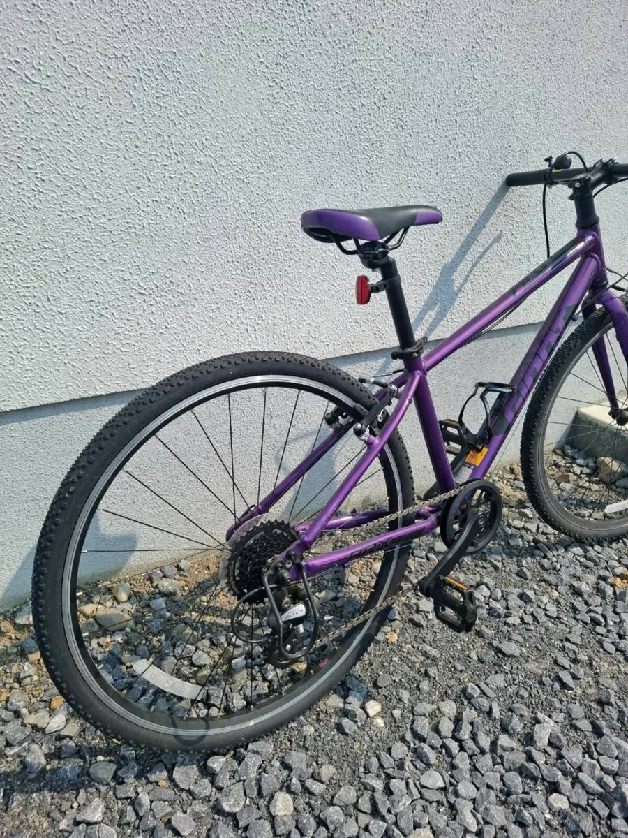 Bike - Image 1